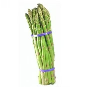 Asparagus Baby